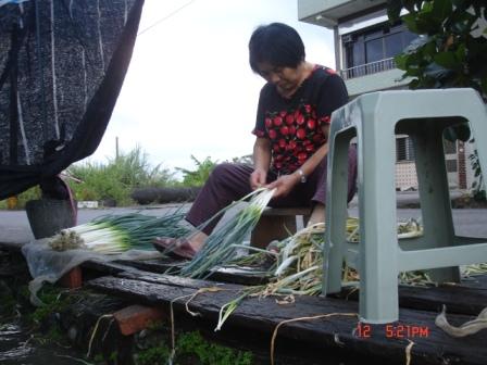 20090821 100.jpg 20090821 100.jpg