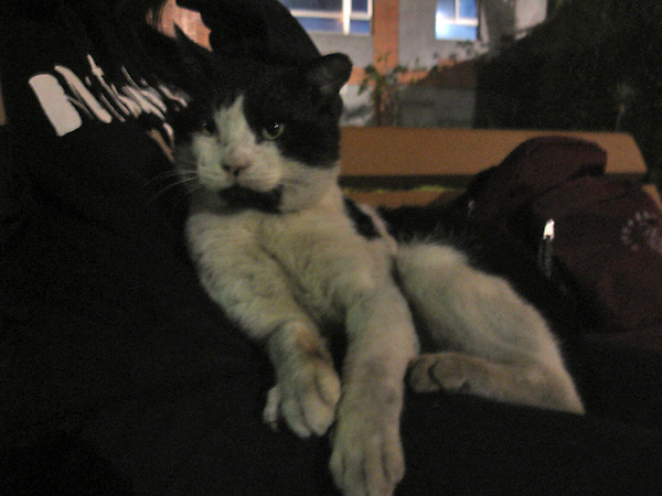 DSC05311.JPG DSC05311.JPG