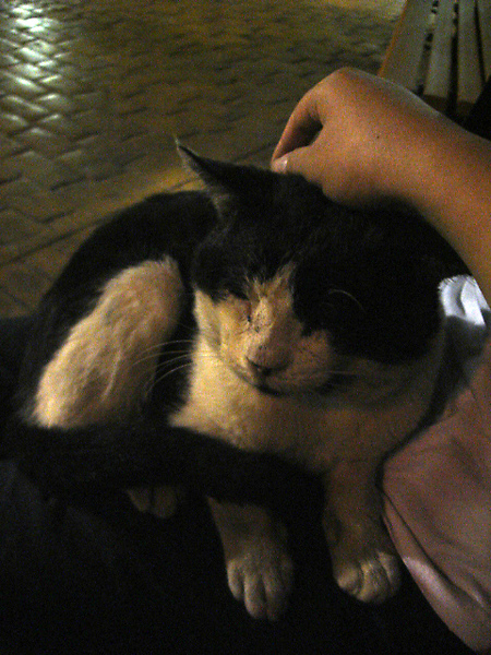 DSC05337.JPG DSC05337.JPG