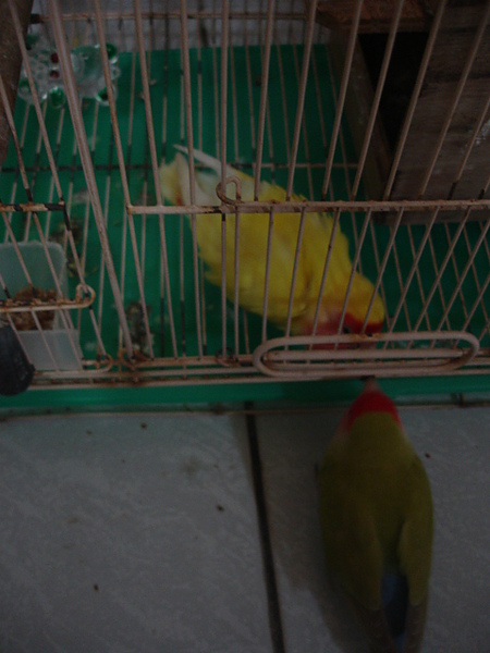 DSC05842.JPG