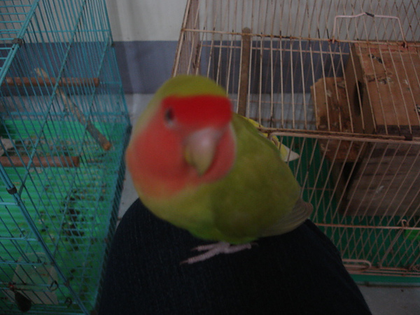 DSC05846.JPG