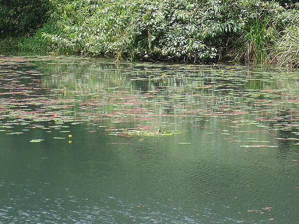 DSC08775.JPG