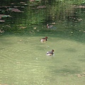 DSC08723.JPG