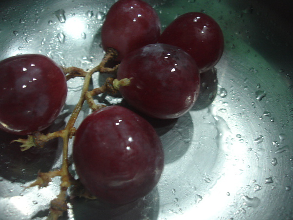 DSC00604.JPG