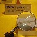 DSC08653.JPG