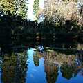 Hamurana springs