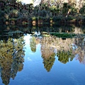 Hamurana springs