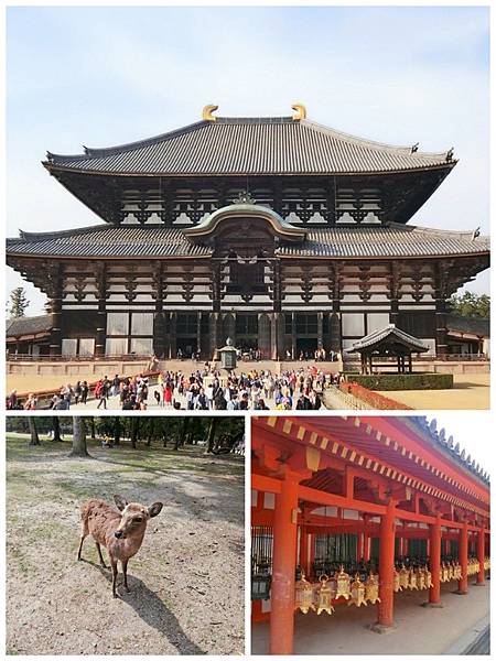 (大阪旅遊)奈良公園餵鹿造訪春日大社與東大寺,三個景點一次收編大滿足~