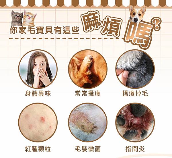 BD9E7A61-384E-41CF-A882-5E2A9198B737-4793-0000035D9E19790F BD9E7A61-384E-41CF-A882-5E2A9198B737-4793-0000035D9E19790F