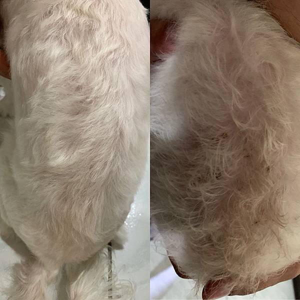 3EF2780D-7B96-4BF4-A076-B240556F5E34 3EF2780D-7B96-4BF4-A076-B240556F5E34