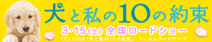 inu10_banner_300_60.gif