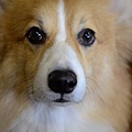 DSC_5723 (1280x848)