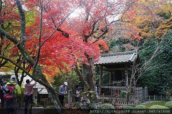 DSC07135寂光院.JPG