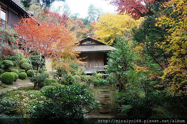 DSC07162寂光院.JPG