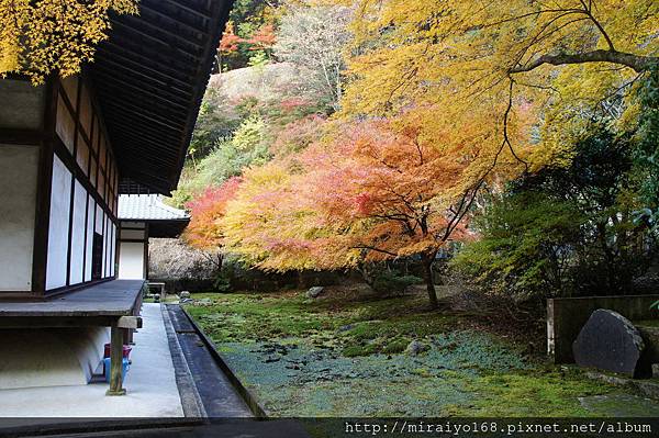 DSC07481 南禪寺.JPG