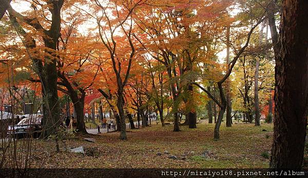 DSC07518 南禪寺.JPG