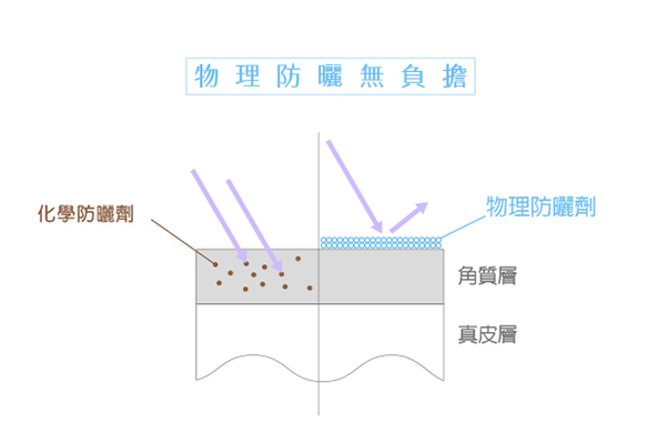 擷取.PNG
