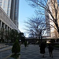 東京都廳.JPG