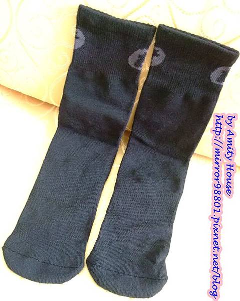 blog 101 May titan抗菌活力襪09