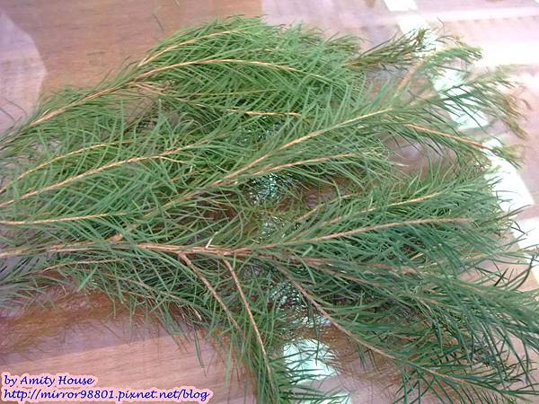 blog 1010627 東風有機農場09