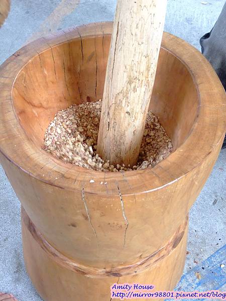 1011103-04台東武陵農村深度體驗238