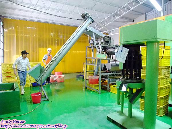 1011110 嘉義民雄金桔觀光工廠　金桔農莊062