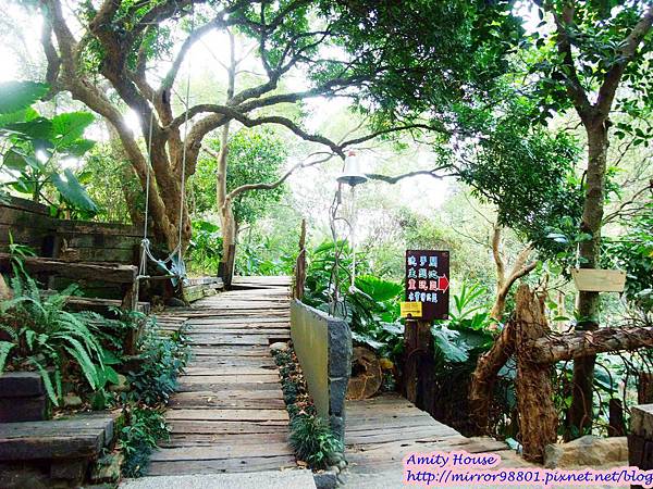 1011110 嘉義民雄金桔觀光工廠　金桔農莊138