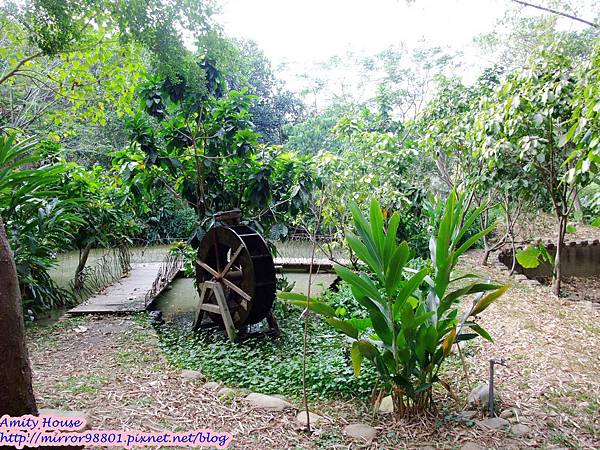 1011110 嘉義民雄金桔觀光工廠　金桔農莊153