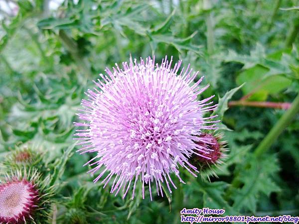 1020502-06東引外島軍旅體驗營283