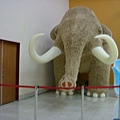 長毛象3.JPG