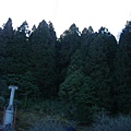 980128-29阿里山08.jpg
