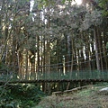 980128-29阿里山21.jpg
