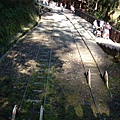 980128-29阿里山23.jpg