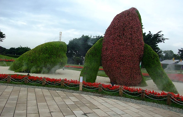 991106花博　新生　林下花圃花海區04.JPG