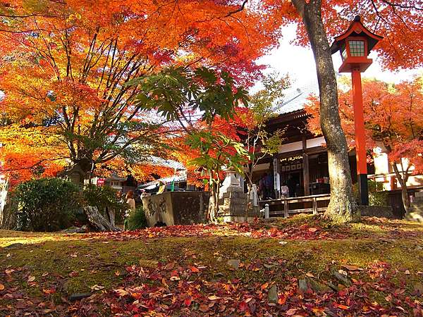 秋季賞楓 一定要推薦的日本中部 名古屋的賞紅葉景點 暢遊日本名古屋 I Love Nagoya 痞客邦 秋季賞楓 一定要推薦的日本中部 名古屋的賞紅葉景點 暢遊日本名古屋 I Love Nagoya 痞客邦