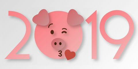 happy-new-year-banner-head-of-the-pig-animal-royalty-free-illustration-1078492054-1545908604 (1).jpg