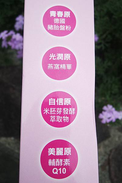 SAM_3456 試用