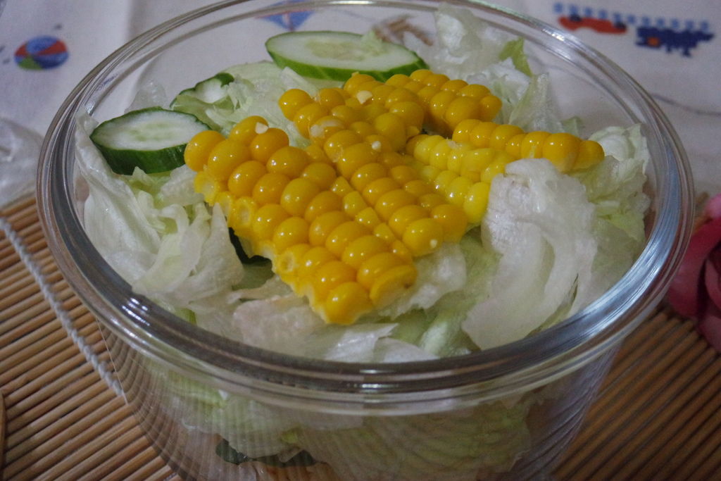 SAM_9594.JPG 試用