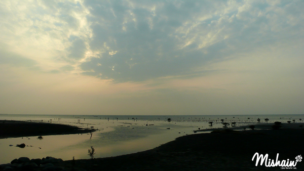 P1000881.jpg
