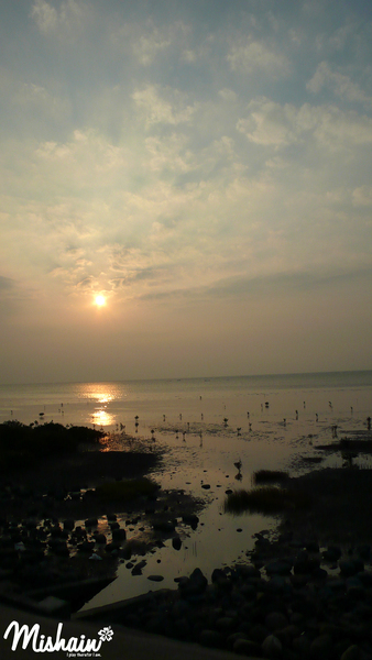 P1000886.jpg