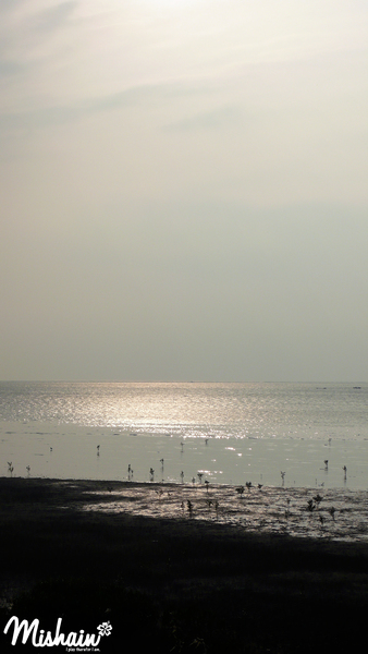 P1000840.jpg