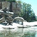 R1022510.JPG