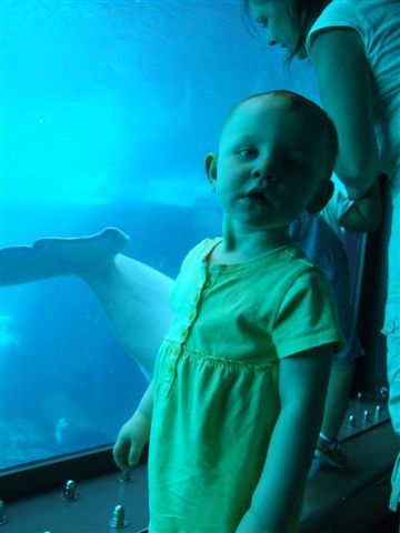 DSCF7547.JPG