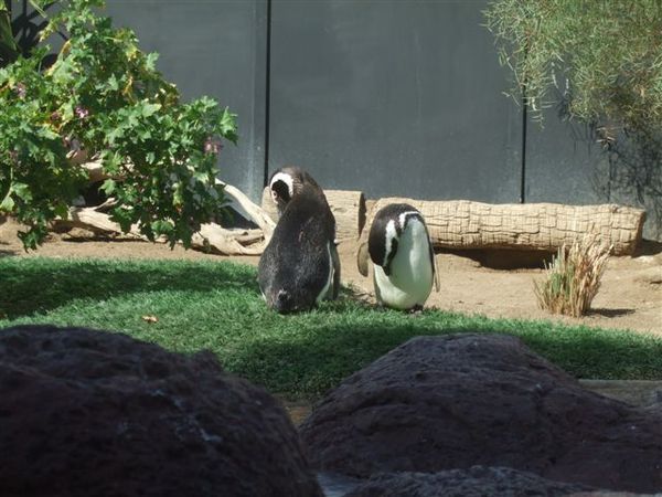 DSCF7558.JPG