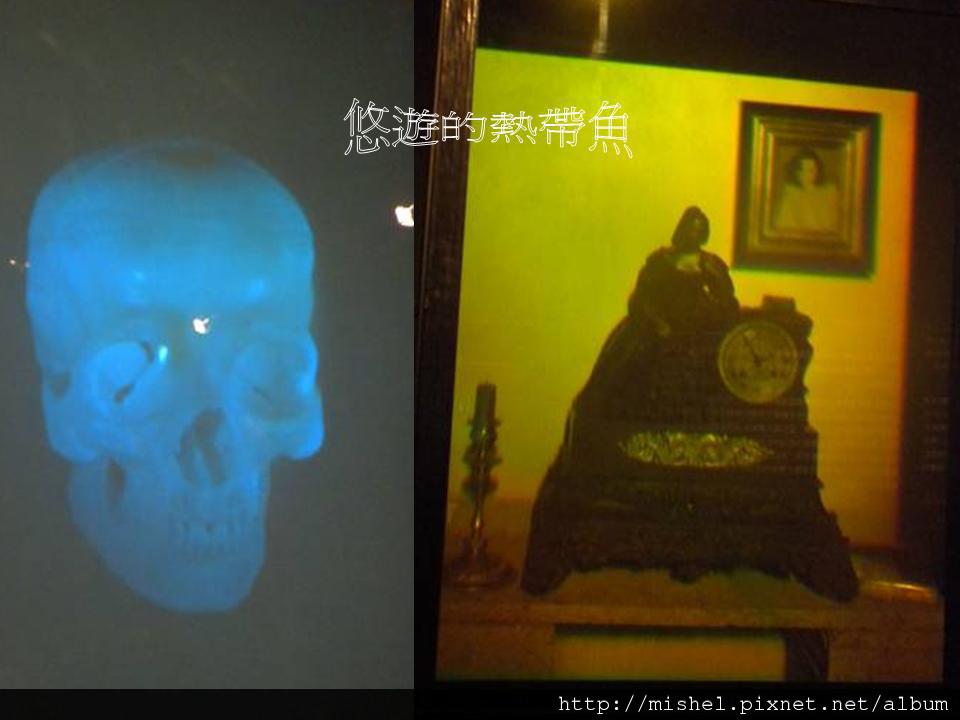 投影片15 投影片15