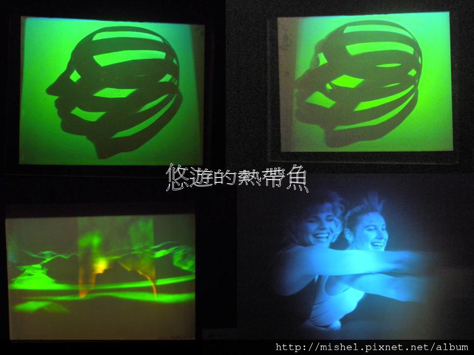 投影片29 投影片29