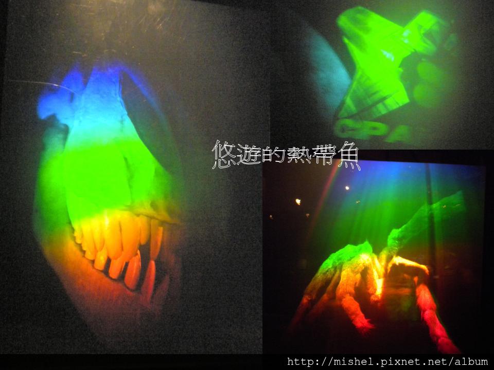 投影片32 投影片32