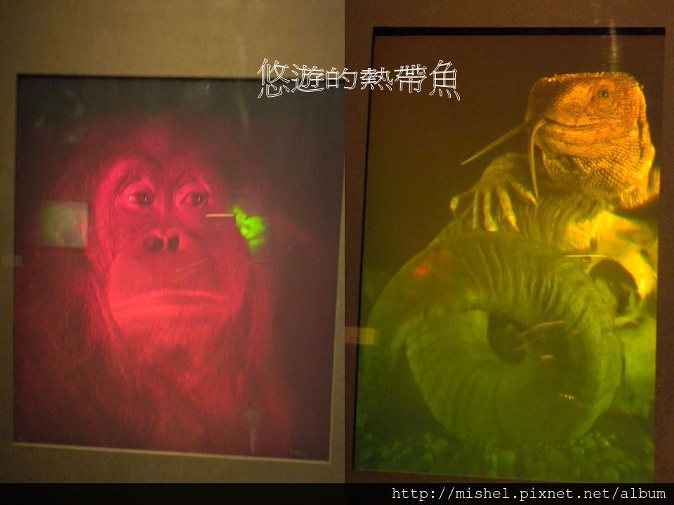 投影片34 投影片34