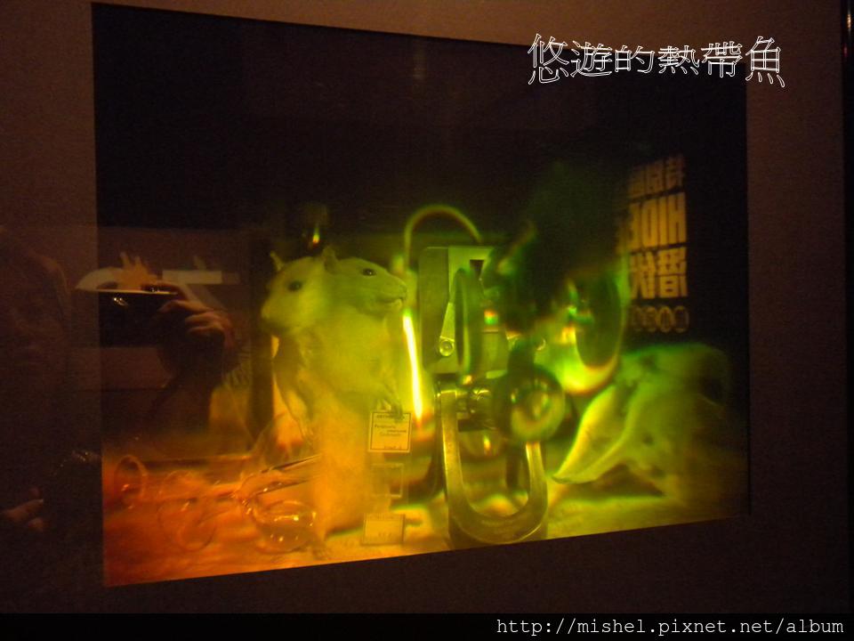 投影片36 投影片36