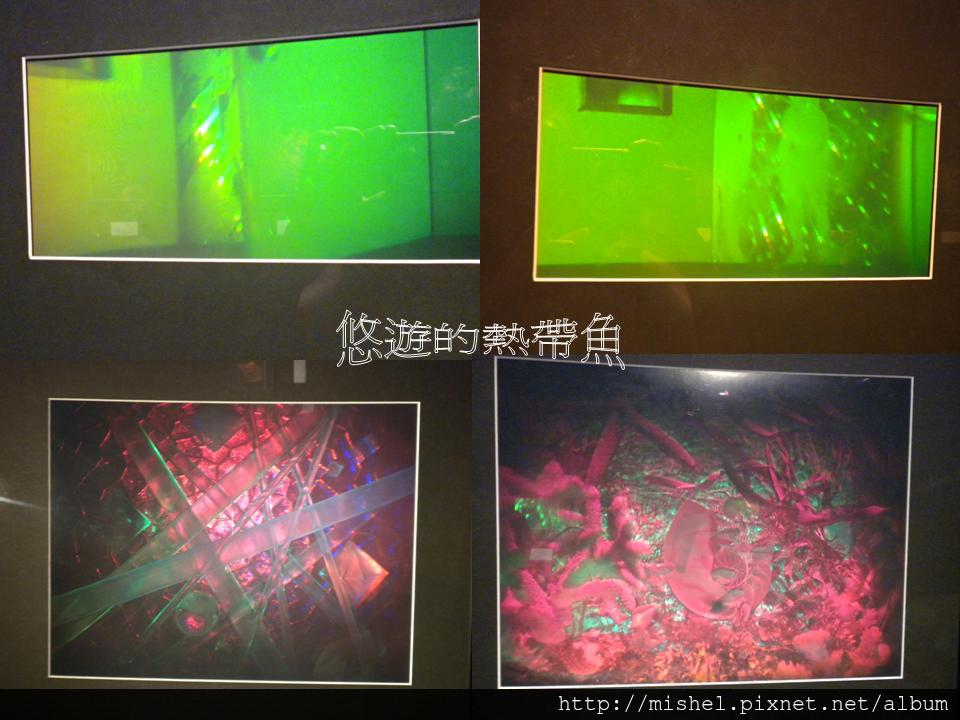 投影片49 投影片49